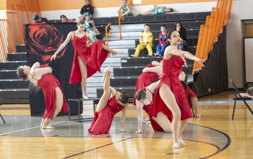 Exquisite IRD DANCE-7